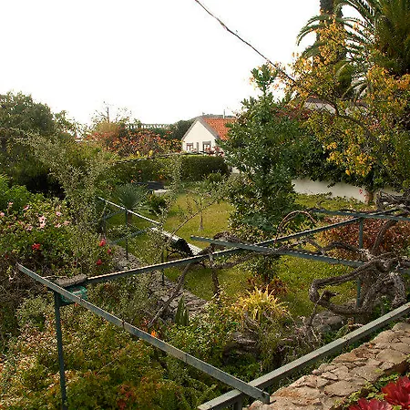 Oliveira 3*